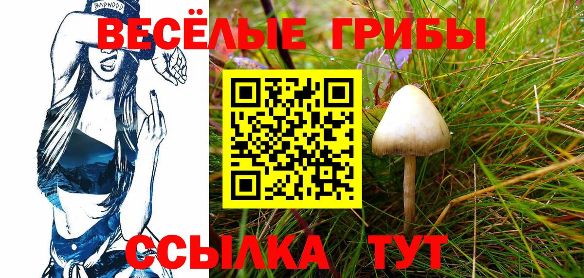 Галлюциногенные грибы GOLDEN TEACHER  Вход с VPN  Знаменск  Псилоцибиновые грибы прущие грибы 